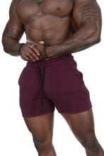 Load image into Gallery viewer, YoungLA Bodybuilding French Terry Shorts Vibrant Colors 102