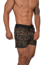 Load image into Gallery viewer, short shorts