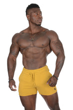 Load image into Gallery viewer, YoungLA Bodybuilding French Terry Shorts Vibrant Colors 102
